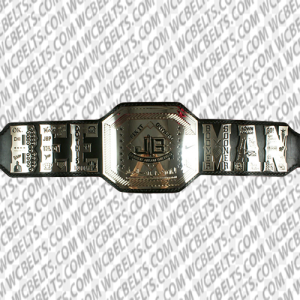 professional wrestling champion belts