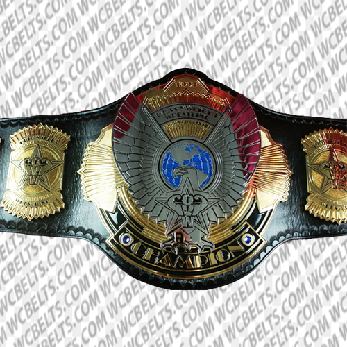 wwe champion commemorative title belt
