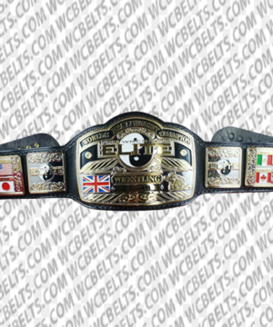 Alternative view of Pro Wrestling Elite Heavyweight Title belt