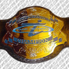 team incredible champion belt