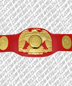 wwc north american tag team championship