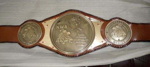 nwa mid america heavyweight champion