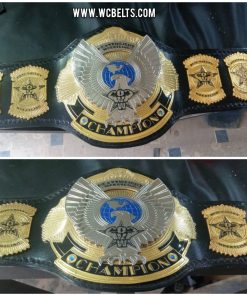 OVW – Ohio Valley Wrestling Heavyweight Title WWF championship belt