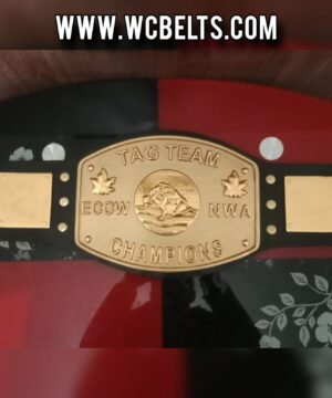 ECCW NWA Tag Team Wrestling Champion Belt Elite Canadian Championship Wrestling