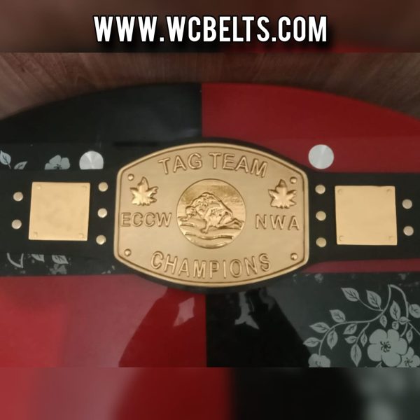 ECCW NWA Tag Team Wrestling Champion Belt Elite Canadian Championship Wrestling
