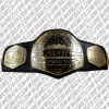 art of fighting mma championship belt