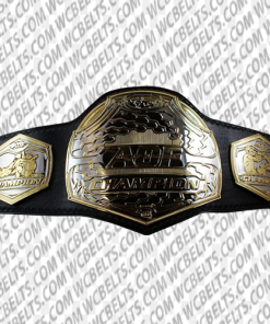 art of fighting mma championship belt