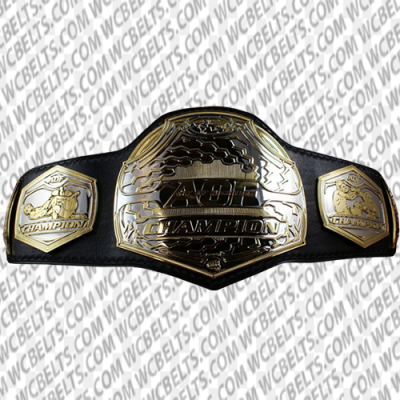 Experience the Triumph with our Art of Fighting MMA Championship Belt