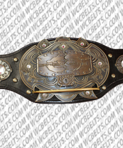 dragon gate pro wrestling belt