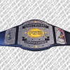 fsw future stars of wrestling championship belt