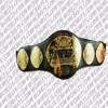 WGP Heavyweight Tag Team Champions Belt