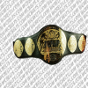 iwgp heavyweight tag team champions belt