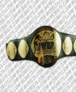 iwgp heavyweight tag team champions belt