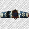 marines one way title champion belt