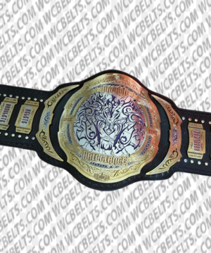 Matt and Jeff Hardy Broken Tag Team Wrestling Championship Belts
