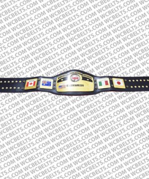 Alternative view of NWA World Heavyweight Title Belt