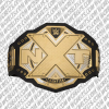 nxt championship commemorative title belt