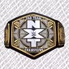 NXT Tag Team Wrestling Championship Replica Title Belt