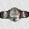 Win Big at the Poker Playground Poker Classic High Roller Championship Belt
