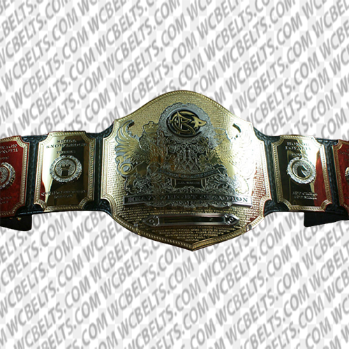 Right Coast Pro Heavyweight Wrestling Championship Title belt - WC BELTS