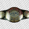 ssw tag team titles champion belt