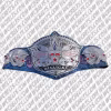 Shannon Moore's DILLIGAF title champion belt