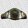 undisputed heavyweight wrestling champion belt
