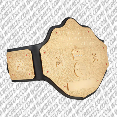 Premium WCW Heavyweight Championship Replica Title - Authentic ...