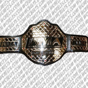 world masters alliance mma belt