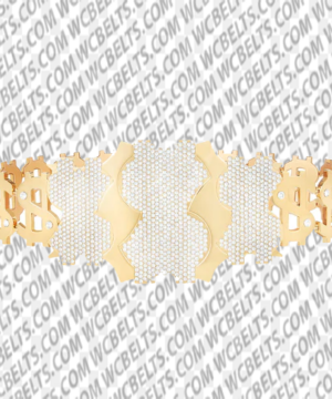 WWE Million Dollar Championship Replica Title