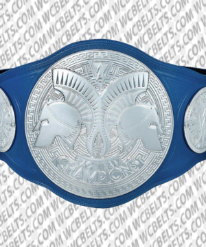 wwe smackdown tag team wrestling championship commemorative title belt