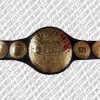 NJPW Junior Tag Team Championship