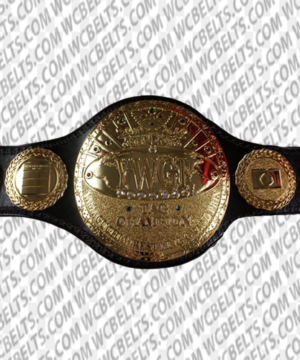 YWGP Yamaguchi Wrestling Grand Prix Tag Team Titles