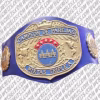 AAA World Mixed Tag Team Champion Belt