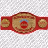 AAA World Mixed Tag Team Champion Belt