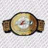 Major League Wrestling World Tag Team Champion Belt