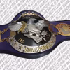 NWA International Tag Team Championship Belt