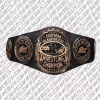 AWA Southern Heavyweight Wrestling Champion Belt