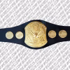 IJ WAR International Junior Heavyweight Championship Belt