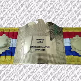 London A.B.A. Senior Champion (2009-2010)