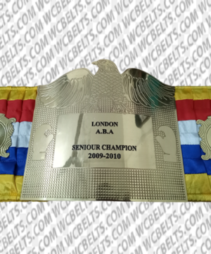 London A.B.A Seniore Champion ( 2009 - 2010)