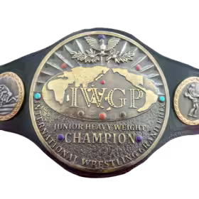 IWGP Junior Jr. Champion Belt