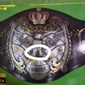 Old NWA Junior Jr. International Wrestling Champion Belt