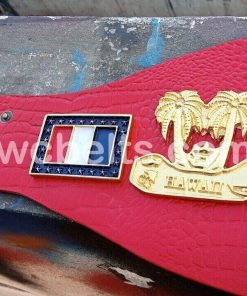 NWA USA Heavyweight Wrestling Title Champion Belt Johnny Valentine First Version