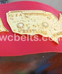 NWA USA Heavyweight Wrestling Title Champion Belt Johnny Valentine First Version