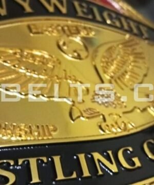 Alternative view of ECW Television Heavyweight Eastern Wrestling Champion Belt Rob Van Dam Johnny Ho