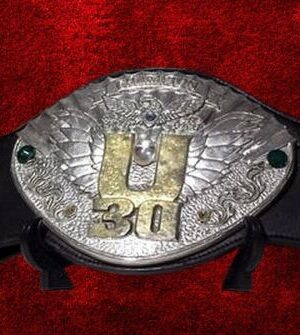 IWGP U-30 Openweight Championship Belt Openweight New Japan U 30 NJPW Old