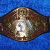 Old Florida State Tag Team Wrestling Champion Belt Mid-Atlantic Championship 70s