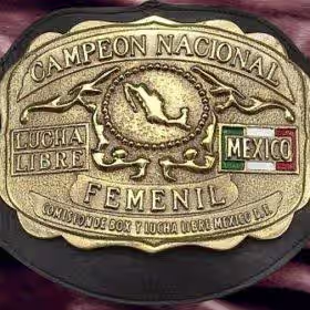 Campeon Nacional Lucha Libre