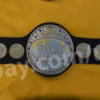 IWGP New Japan Pro Wrestling Championship Belt